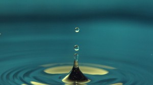 Meditation: Mindfulness with Mona Therese