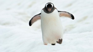 Joost Ouendag discusses his recent expedition to Antarctica