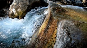 Meditation: Mindfulness with Mona Therese