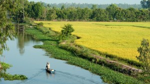 Deepen your appreciation of the mighty Mekong River with Dr. John Freedman