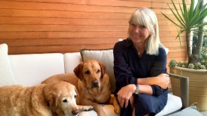 This week: Discover the Oceans with Viking