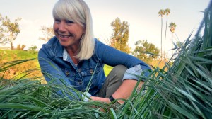 This week: Discover the Rivers with Viking