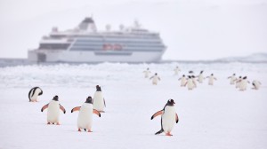 Podcast: Join visual arts journalist Corinne Julius and lecturer David McGonigal for a thought-provoking discussion about Antarctica and the history of this icy continent