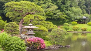 Top 10 gardens around the world with Viking’s Karine Hagen
