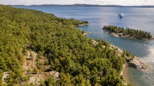 Global Flora & Fauna