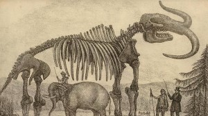 The British Museum: Examining America's Fossils with Dr. Jill Cook