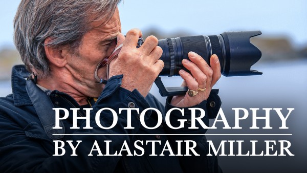 Photography by Alastair Miller