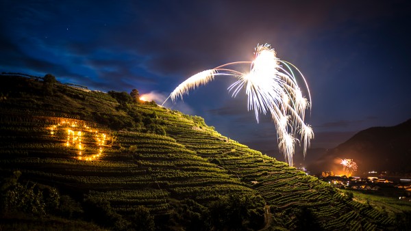 Wine Wednesday (Austria) with  Markus Huber and Erich Machherndl
