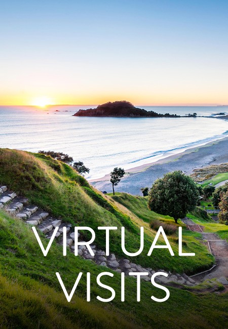 Virtual Visits