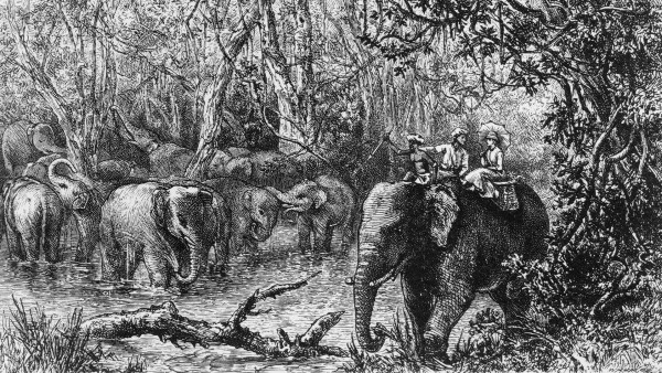 Celebrate women explorers of the 20th century with guest lecturer Sue Stockdale