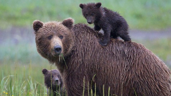 Explore our Alaska & the Inside Passage itinerary with Joost Ouendag