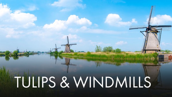 Tulips & Windmills