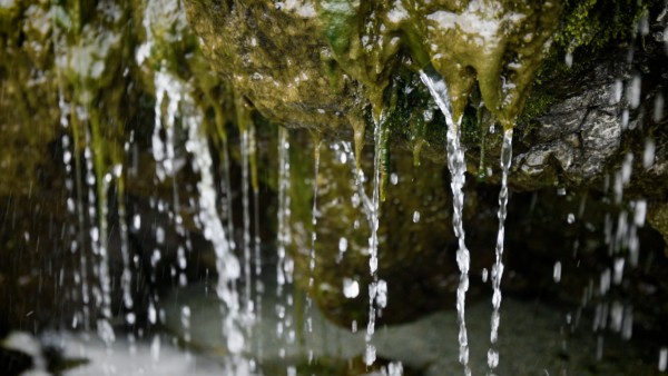 Meditation: Mindfulness with Mona Therese