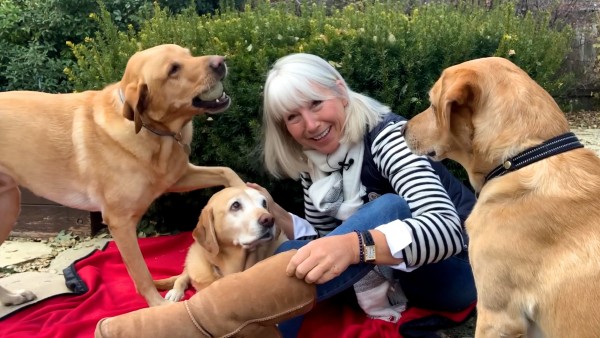 This week: British Isles