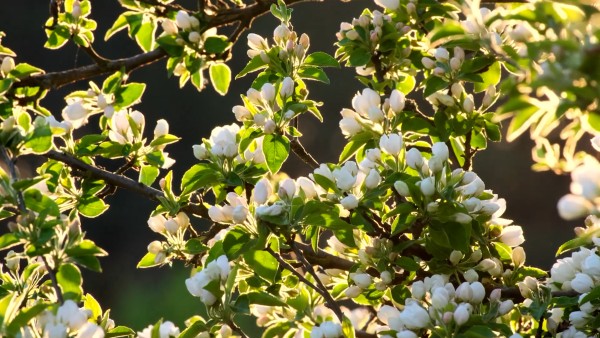 Meditation: Mindfulness with Mona Therese, I Allow Myself