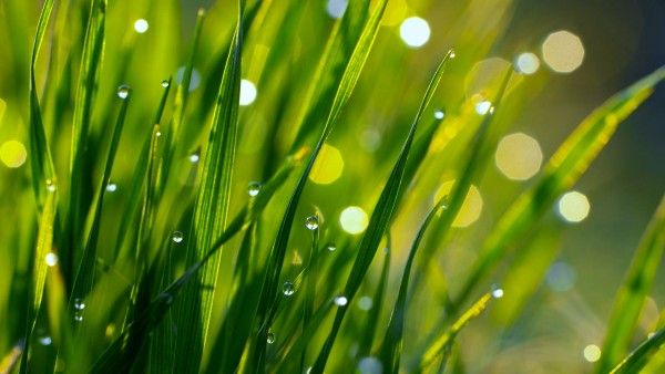 Podcast: Mindfulness with Mona Therese (Breath Awareness Meditation)