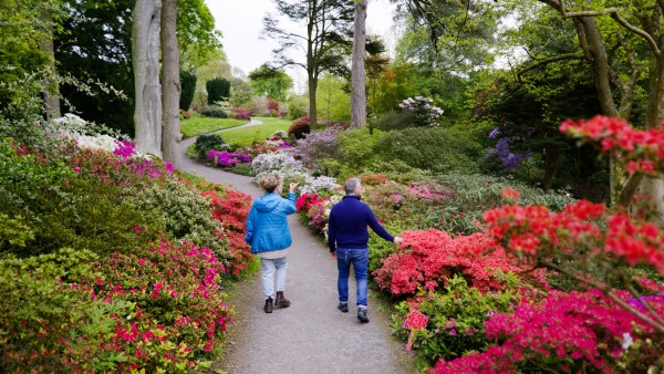 Visit Bodnant Garden and Snowdonia in Wales with Paul Hervey-Brookes 