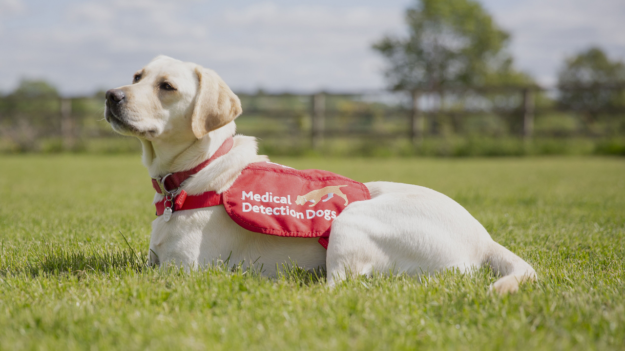 Medical Detection Dogs CEO and cofounder Dr. Claire Guest)