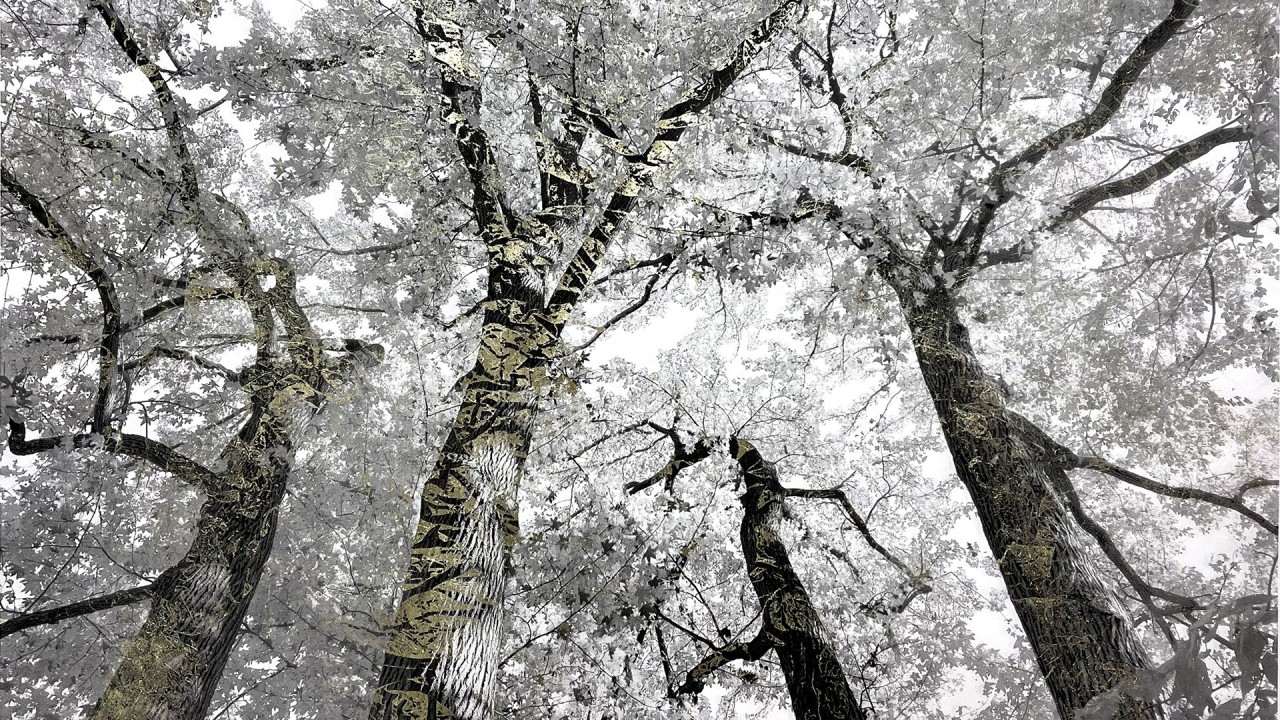 Alastair Miller in conversation with Artist Bill Claps)