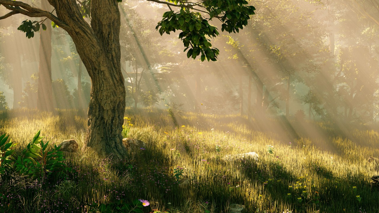 Meditation: Mindfulness with Mona Therese)