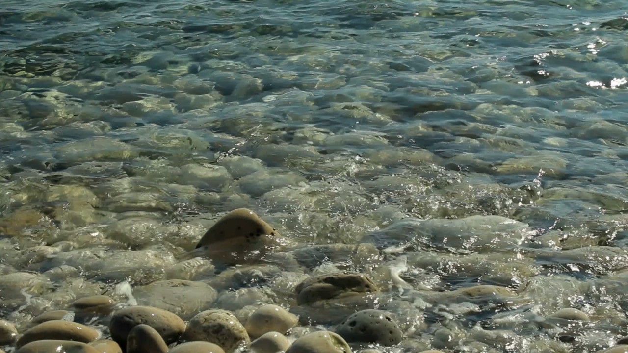 Meditation: Mindfulness with Mona Therese)