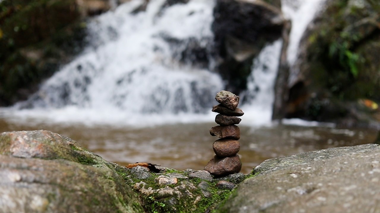 Meditation: Mindfulness with Mona Therese)