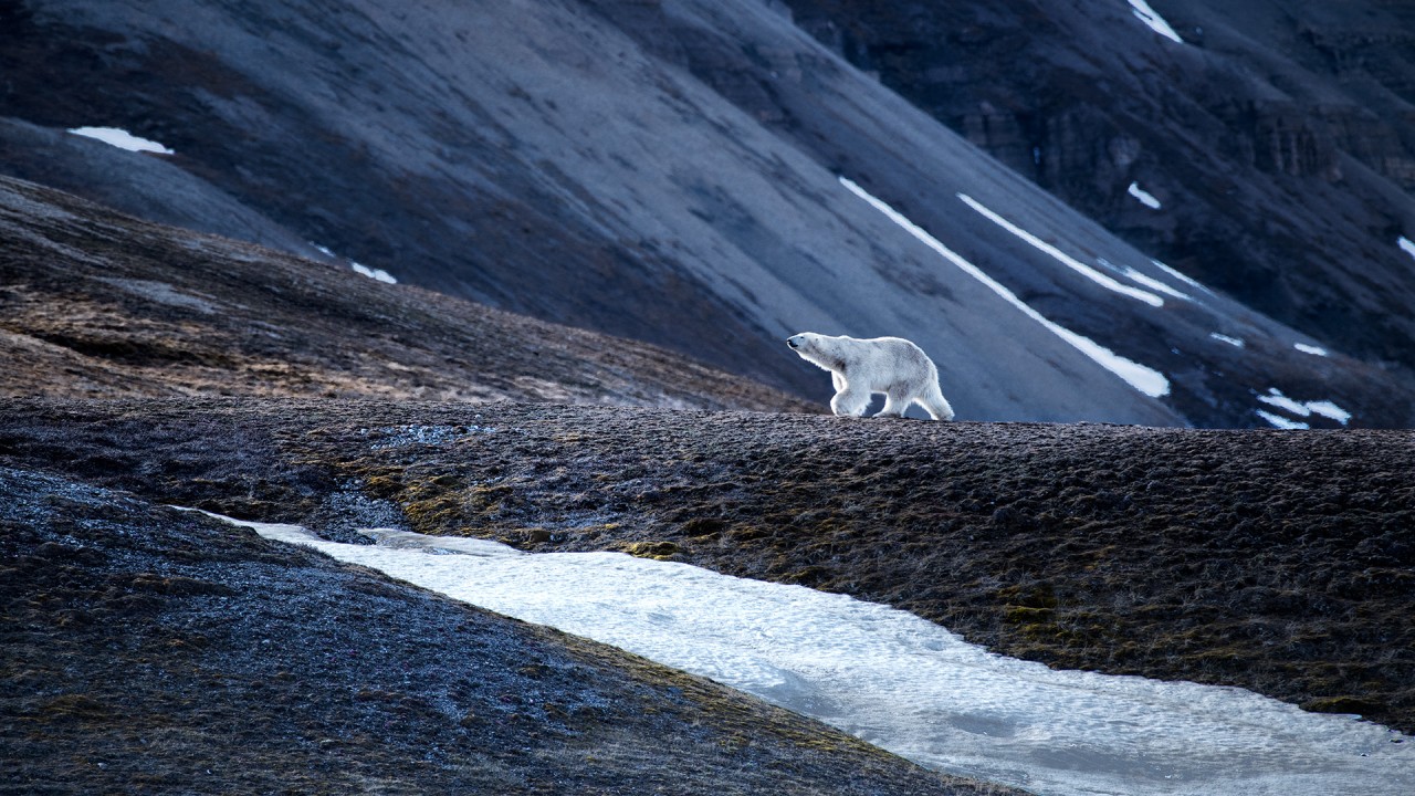 Discover our Iceland & Norway’s Arctic Explorer itinerary with Viking’s Neil Barclay)