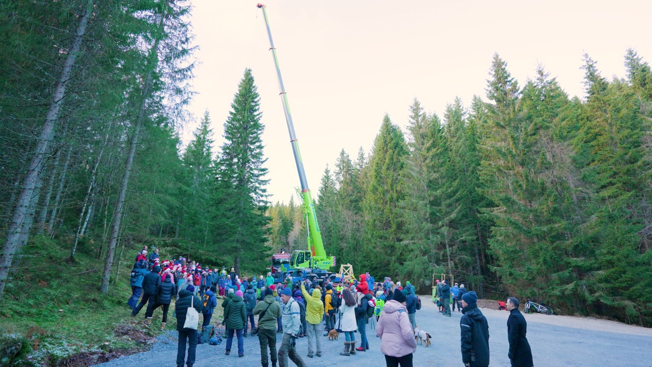 Marvel at the Trafalgar Square Christmas Tree in London)