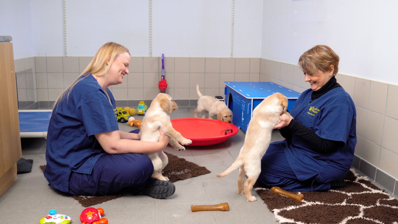 Anne Diamond visits Guide Dogs for the Blind Association)