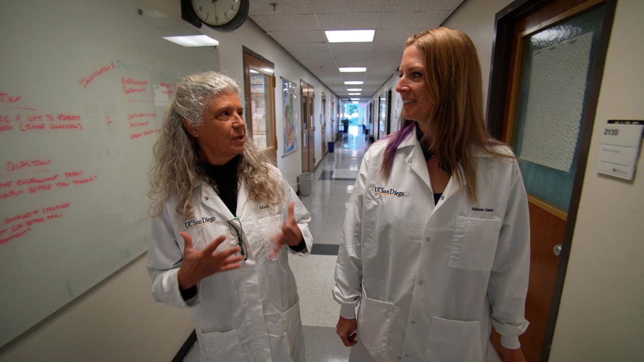 Gain insight into our Genomics at Sea Program)