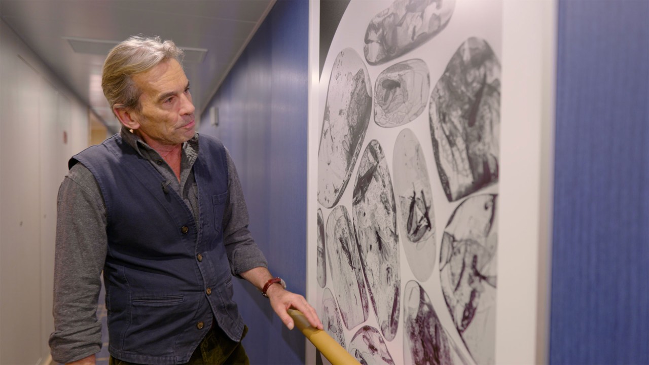 Delve into ancient trade routes with Alastair Miller)